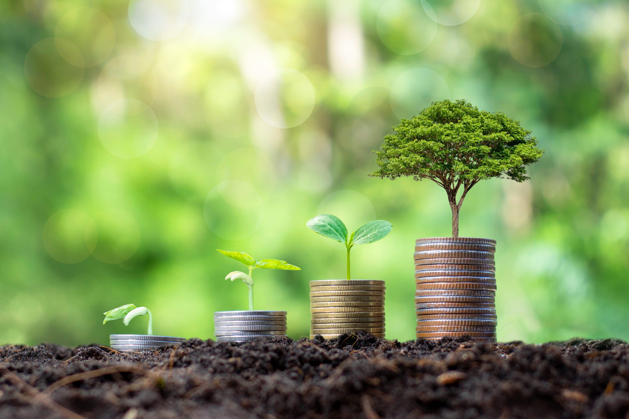 Planting and developing trees on coin pile as well as green nature background blur the concept of financial and economic growth.