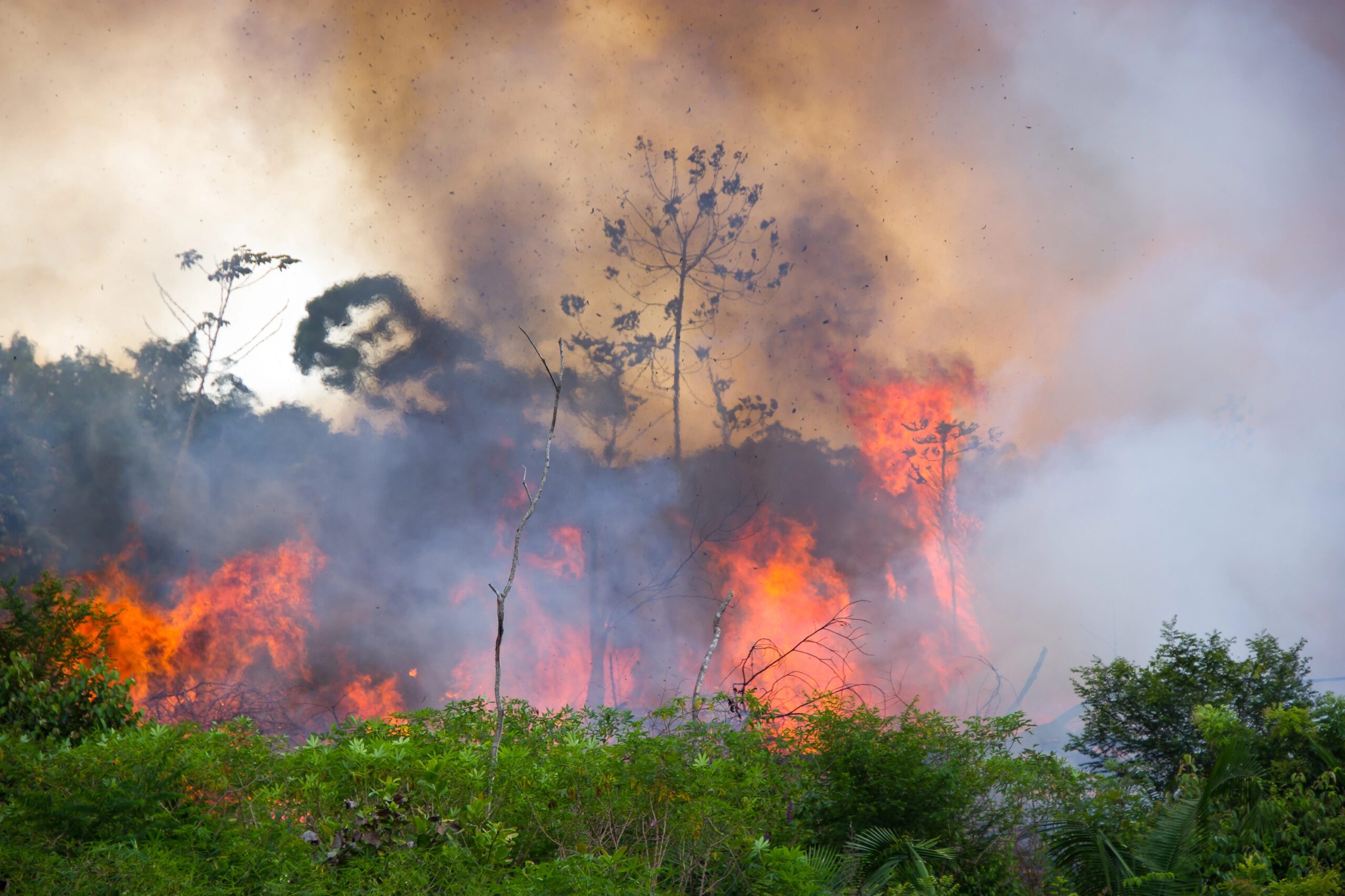 Amazonia brasileira queima